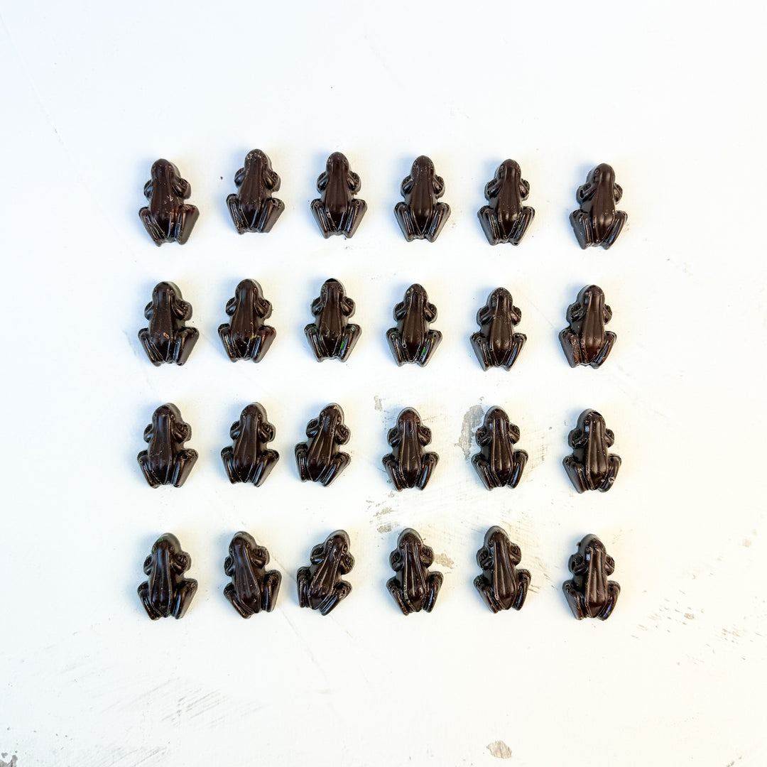 Twenty small, vegan The Ragged Coast Frogletiers - Dark Chocolate Frogs by Ragged Coast Chocolates are arranged neatly in a 5 by 4 grid on a white surface.
