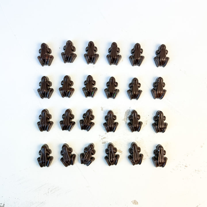 Twenty small, vegan The Ragged Coast Frogletiers - Dark Chocolate Frogs by Ragged Coast Chocolates are arranged neatly in a 5 by 4 grid on a white surface.