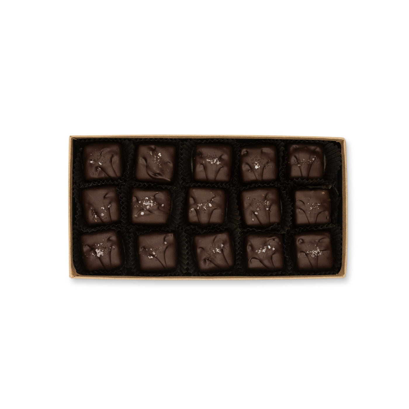 Sea Turtle Caramels